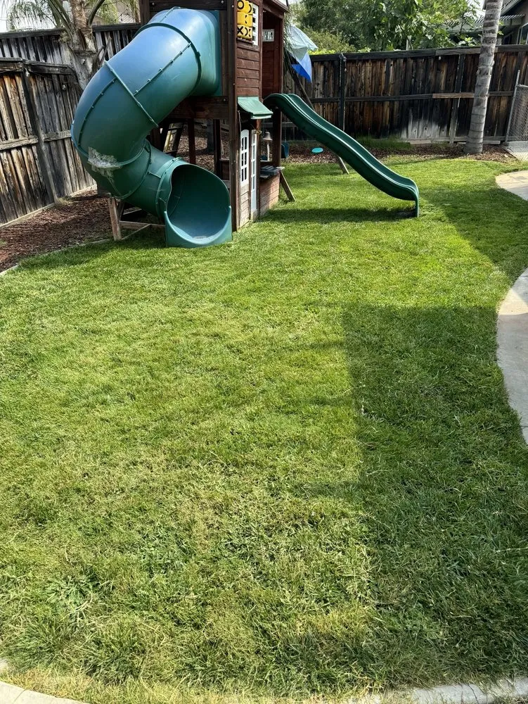 Reliable yard cleanup service in Murrieta, CA by Truly Green Lawn Care Services