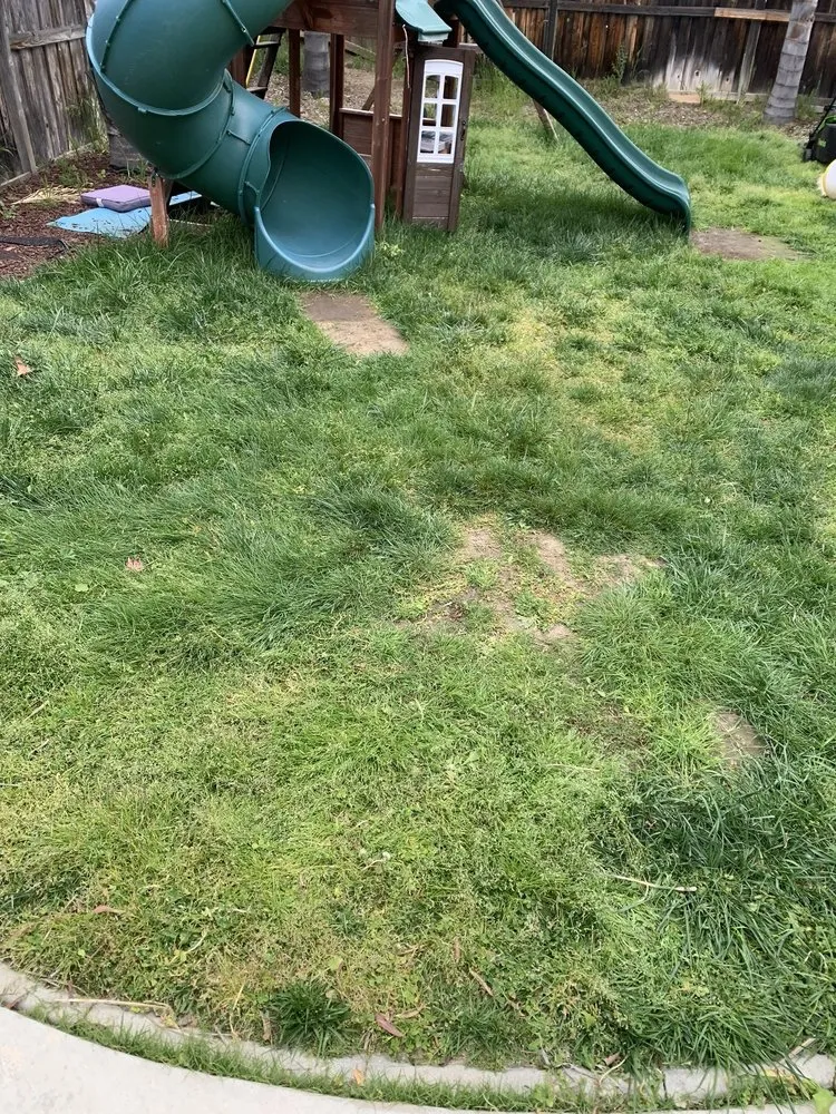 Affordable landscape installation near you across Murrieta, CA - Truly Green Lawn Care Services