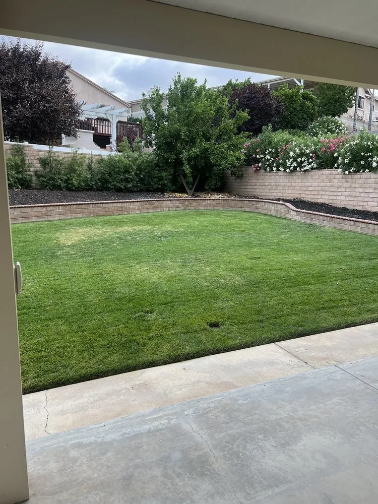 Top-rated yard cleanup service in Murrieta, CA - Truly Green Lawn Care Services