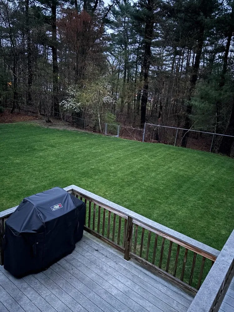 Expert garden landscaping for outdoor upgrades in Medford, MA by Truly Lawn