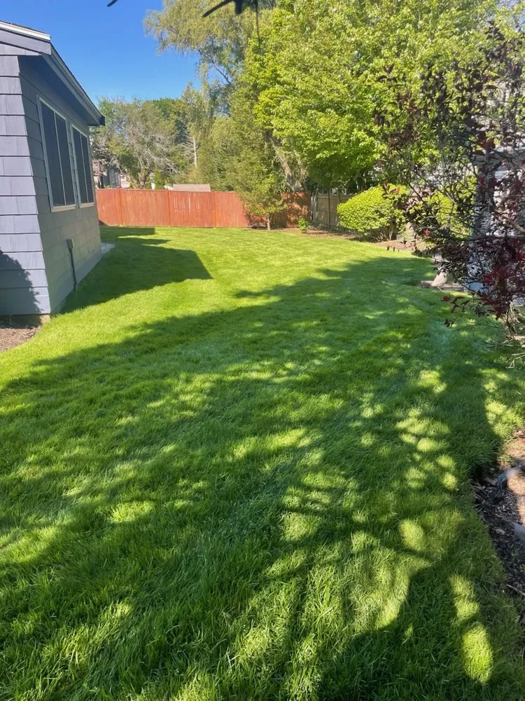 Expert outdoor landscaping for beautiful yards in Medford, MA by Truly Lawn