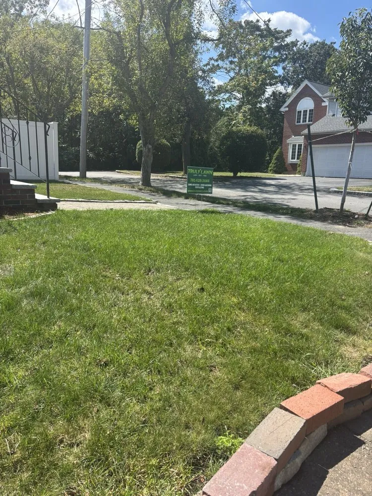 Expert landscape installation experts serving Medford, MA - Truly Lawn
