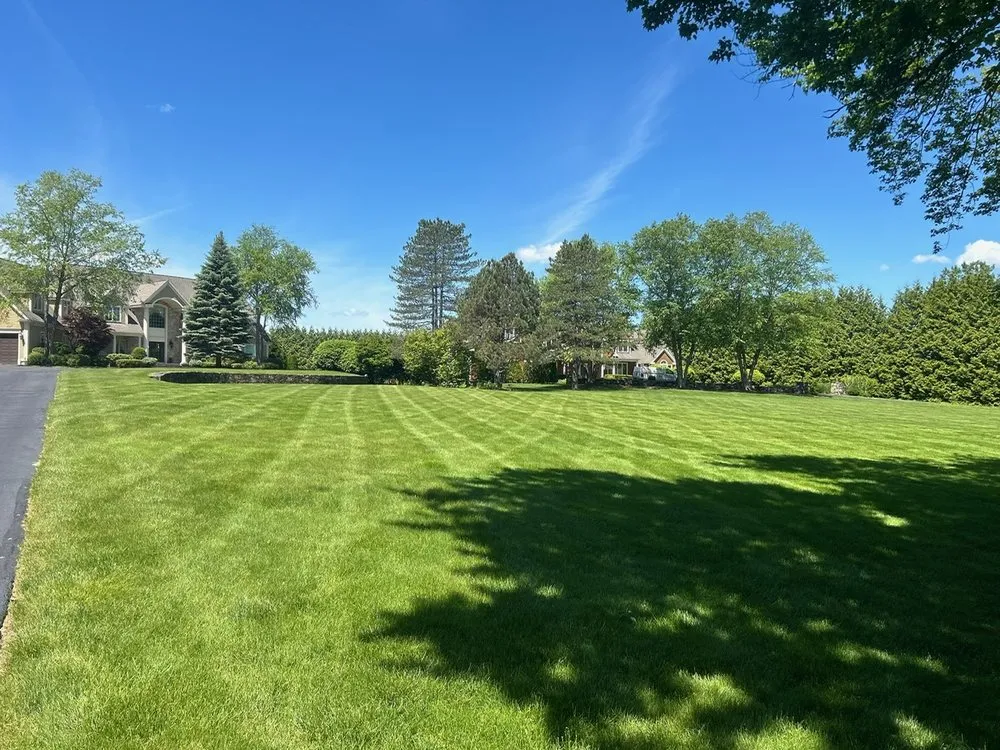 Local lawn mowing service in Medford, MA - Truly Lawn