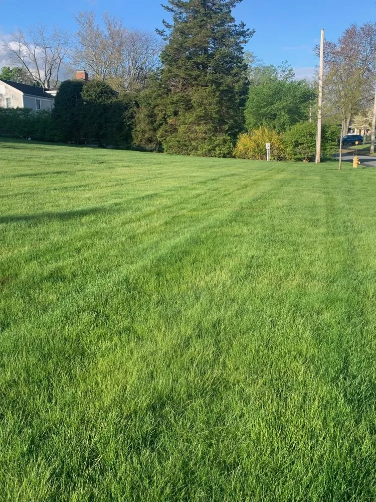 Reliable garden landscaping experts serving Medford, MA - Truly Lawn