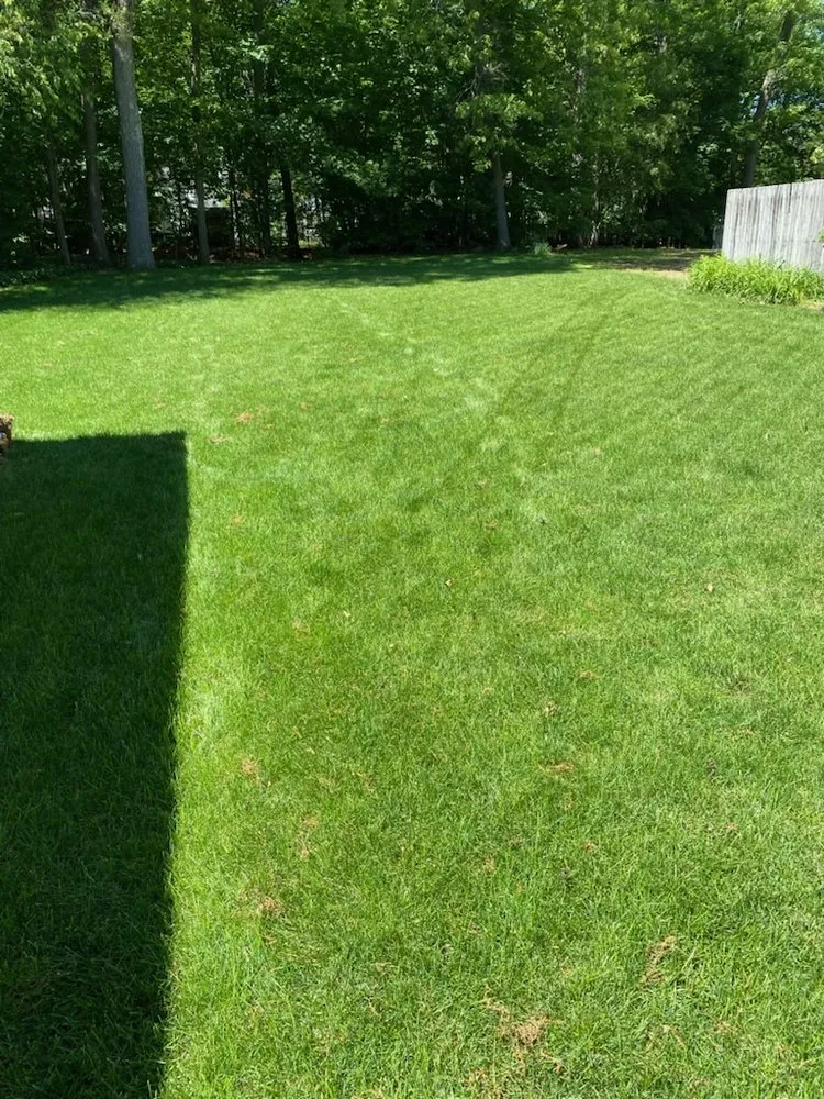 Local lawn mowing service with custom design across Medford, MA - Truly Lawn