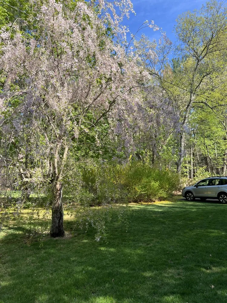 Professional outdoor landscaping in Medford, MA by Truly Lawn