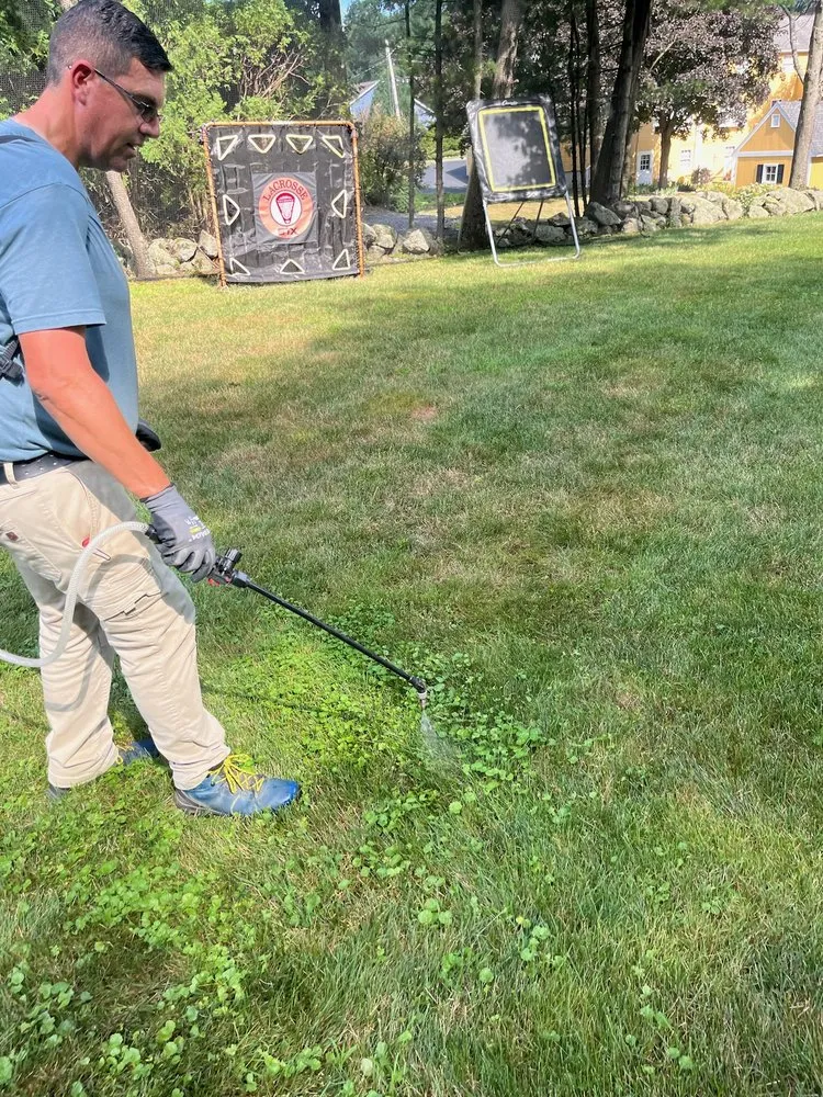 Local lawn mowing service for homes in Medford, MA by Truly Lawn