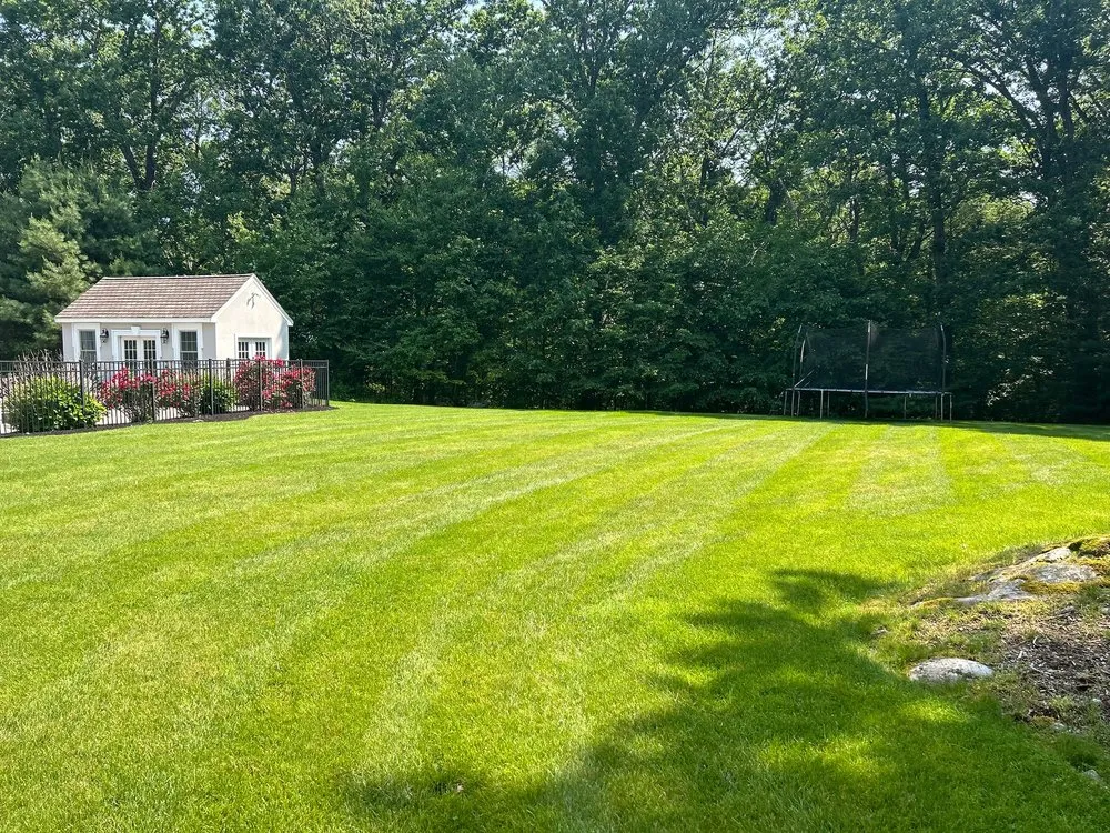 Custom lawn care service near you in Medford, MA by Truly Lawn