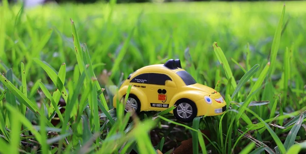 Expert outdoor landscaping experts serving Ft. Myers, FL - Truly Nolen Pest & Termite Control