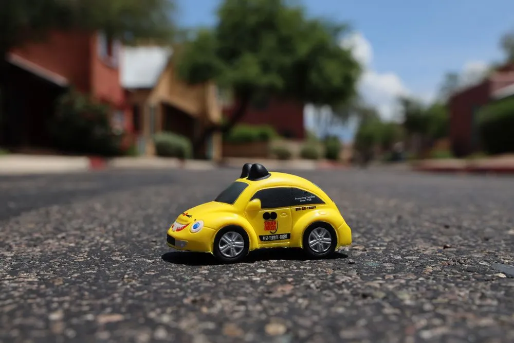 Custom yard maintenance near you in Lakeland, FL by Truly Nolen Pest & Termite Control