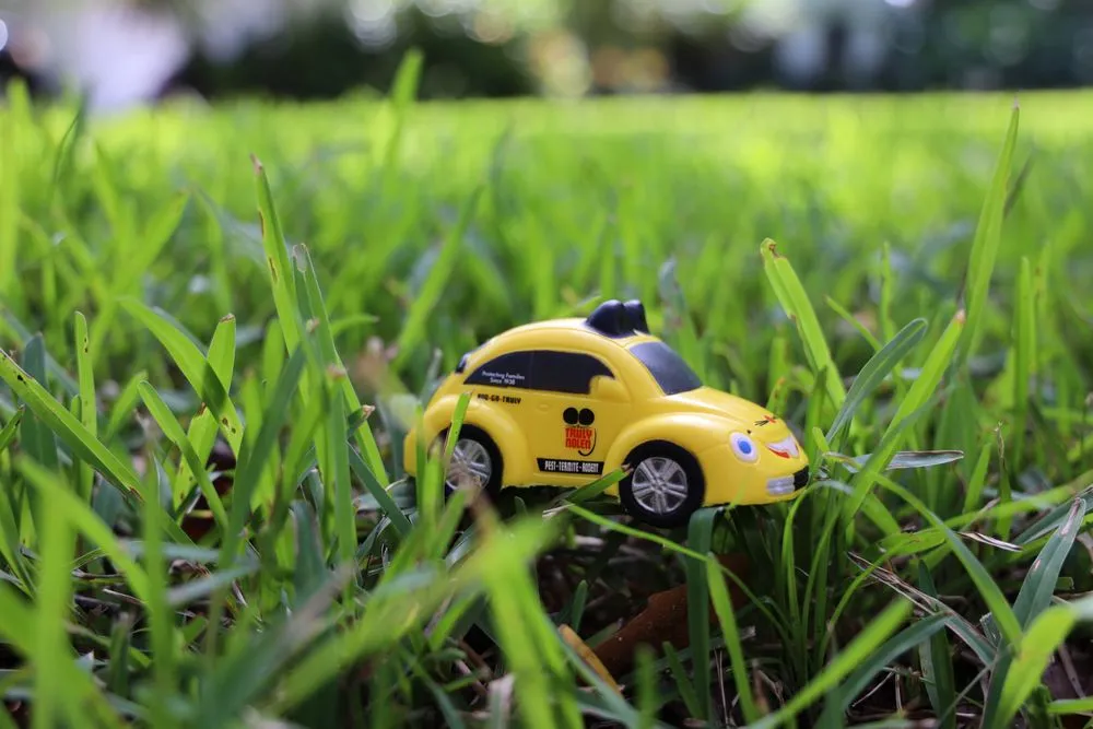 Professional yard maintenance in Largo, FL - Truly Nolen Pest & Termite Control