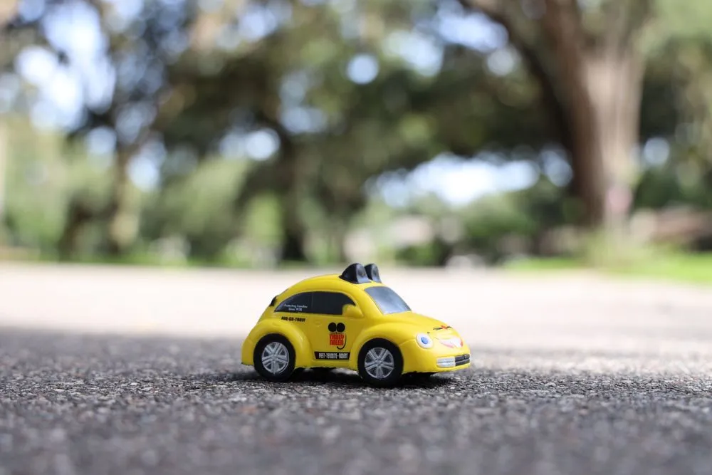 Trusted yard maintenance experts serving Orlando, FL - Truly Nolen Pest & Termite Control