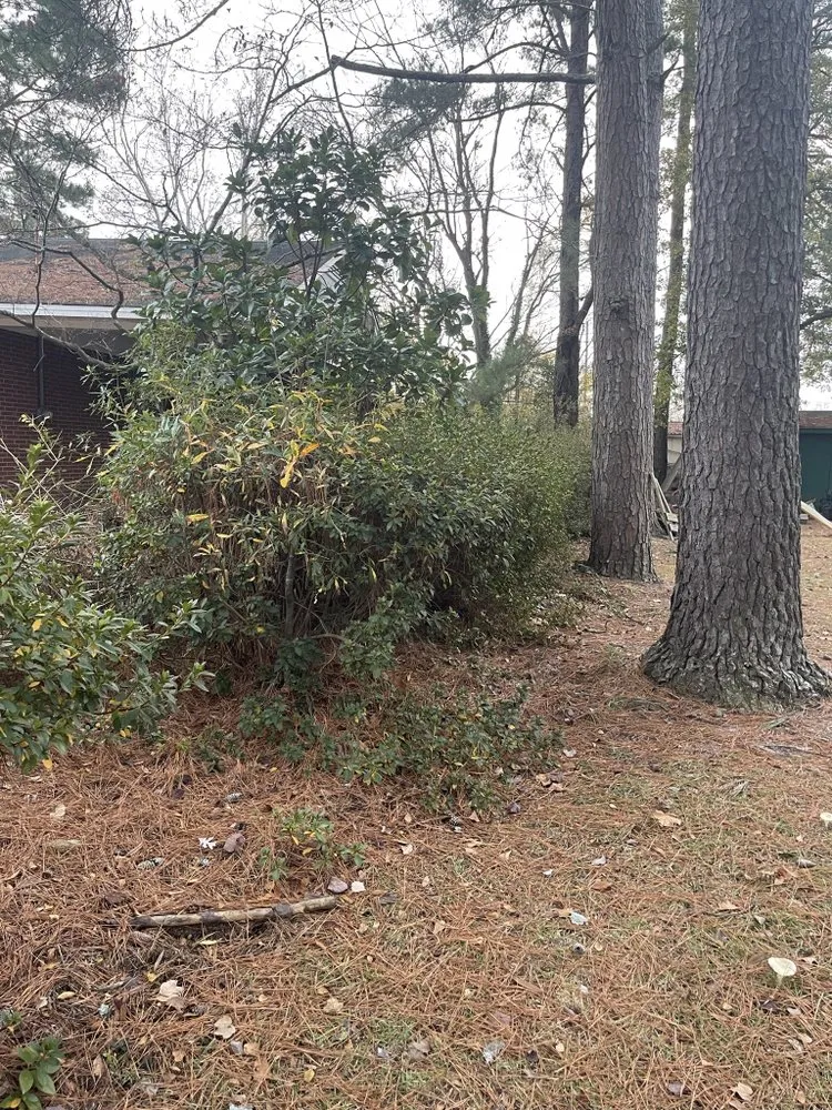 Custom outdoor landscaping for homes in Chocowinity, NC by Truly Unique