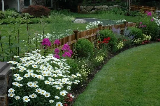 Expert yard cleanup service experts serving York, PA - Trump Lawn & Land