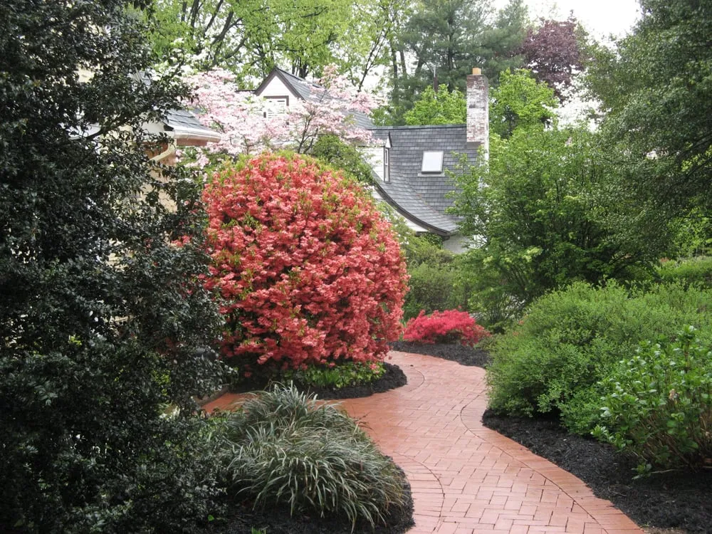 Reliable landscaping services in York, PA by Trump Lawn & Land