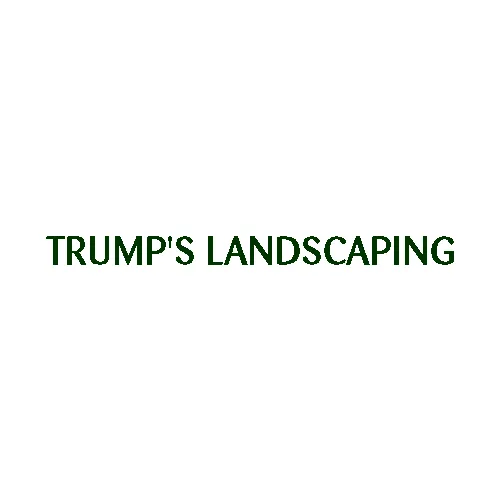 Custom lawn care service in Youngwood, PA by Trump's Landscaping