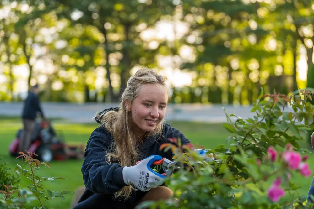 Reliable landscape installation in Traverse City, MI by TruNorth Landscaping