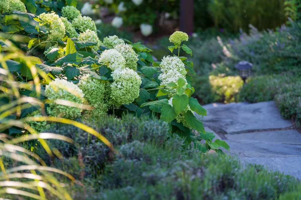 Professional residential landscaping for beautiful yards in Traverse City, MI by TruNorth Landscaping