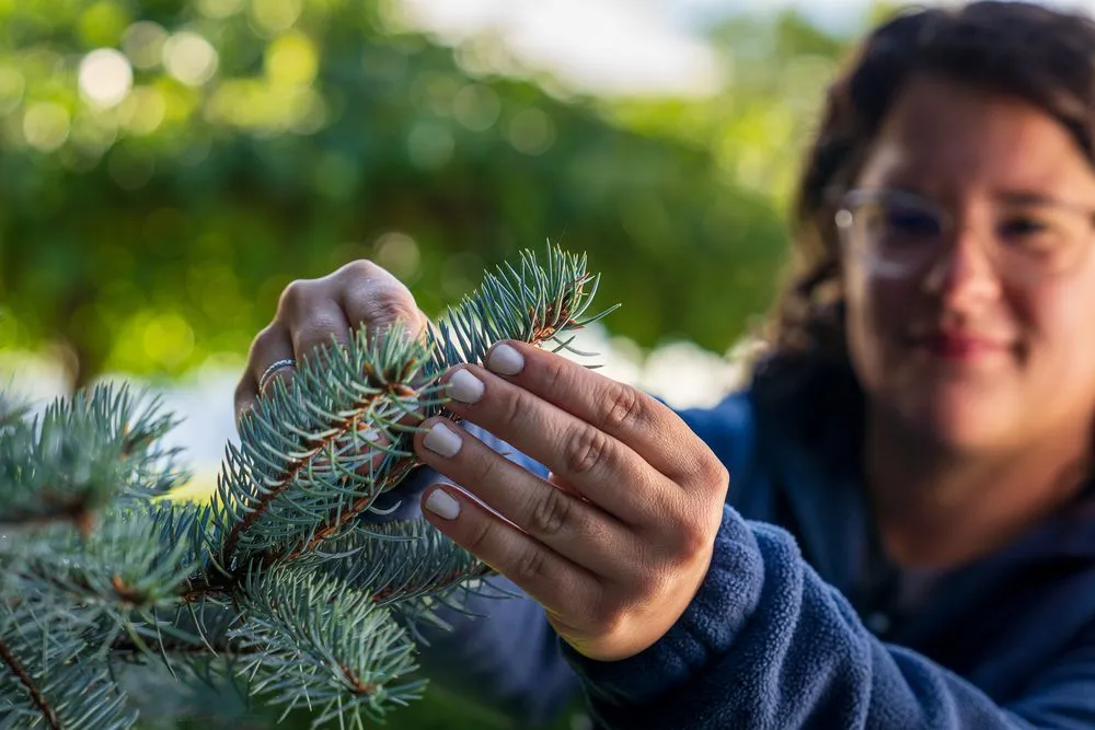 Custom landscape installation for year-round maintenance in Traverse City, MI by TruNorth Landscaping