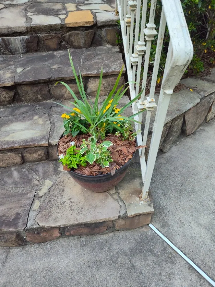 Reliable landscape installation in Atlanta, GA - Trupine