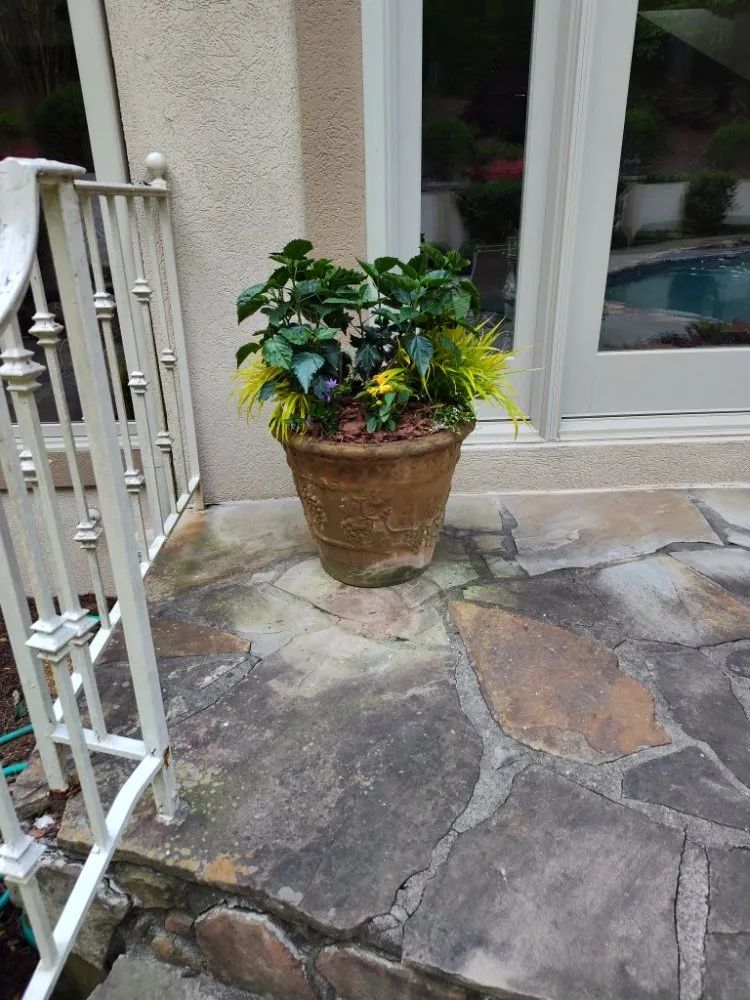 Professional outdoor landscaping experts serving Atlanta, GA - Trupine