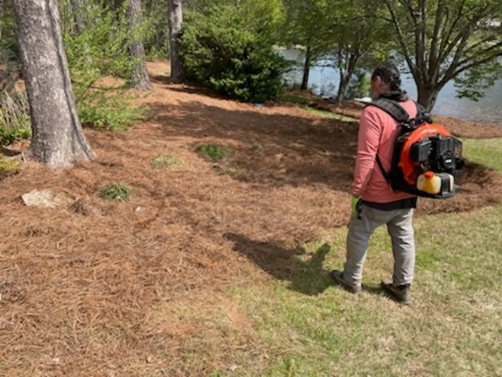 Top-rated garden landscaping in Atlanta, GA - Trupine