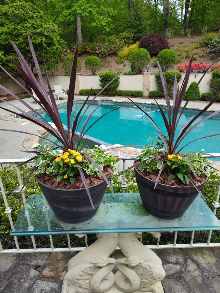 Affordable landscaping services for residential properties in Atlanta, GA by Trupine