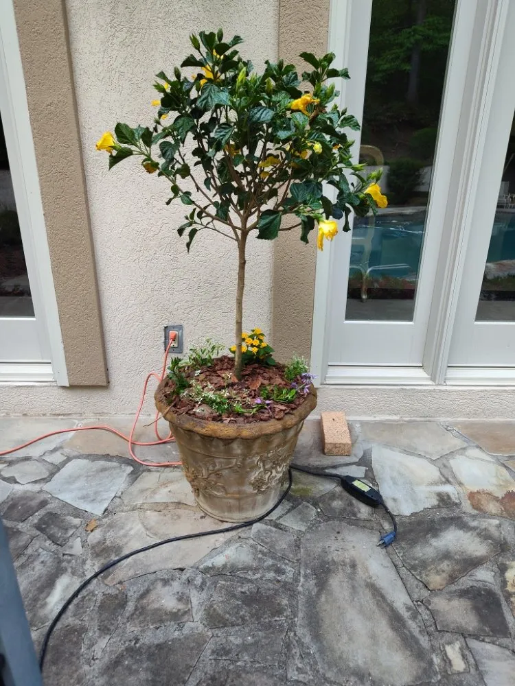 Top-rated landscape design for beautiful yards across Atlanta, GA - Trupine