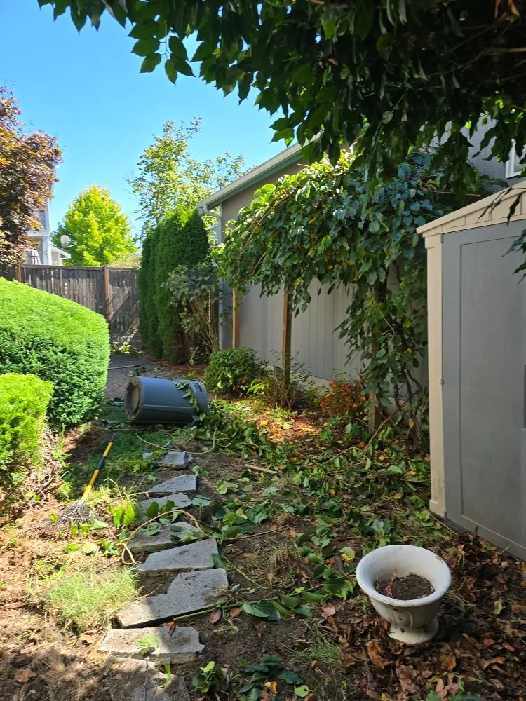 Reliable lawn care service in Shelton, WA - TruPlants Landscape and Paver Services