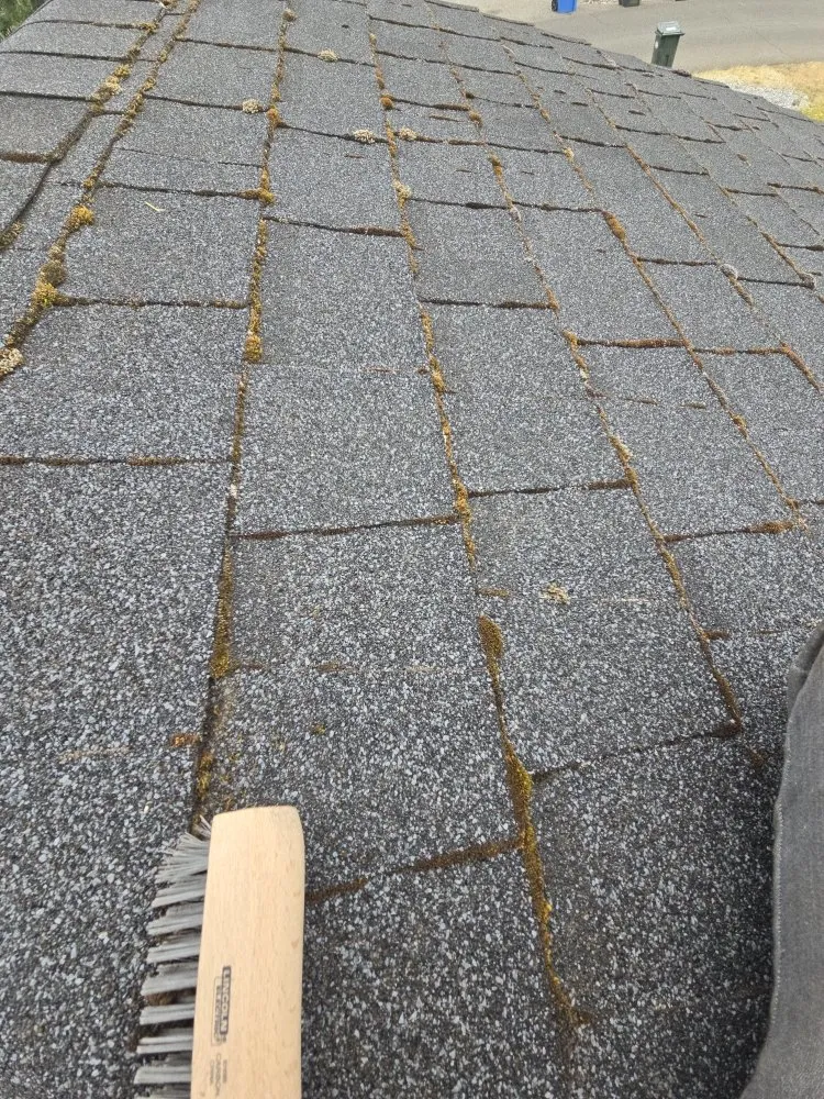 Reliable lawn mowing service in Shelton, WA - TruPlants Landscape and Paver Services