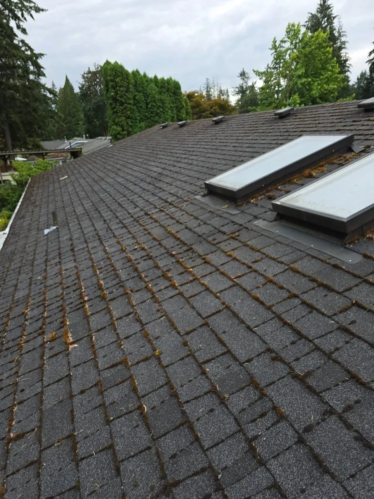 Professional garden landscaping for residential properties across Shelton, WA - TruPlants Landscape and Paver Services