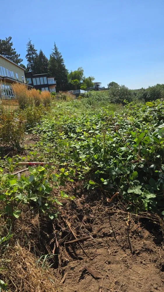 Trusted lawn mowing service experts serving Shelton, WA - TruPlants Landscape and Paver Services