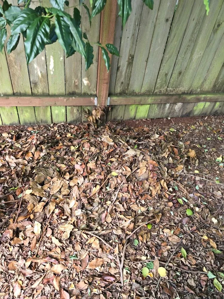 Professional lawn mowing service for beautiful yards in Shelton, WA by TruPlants Landscape and Paver Services