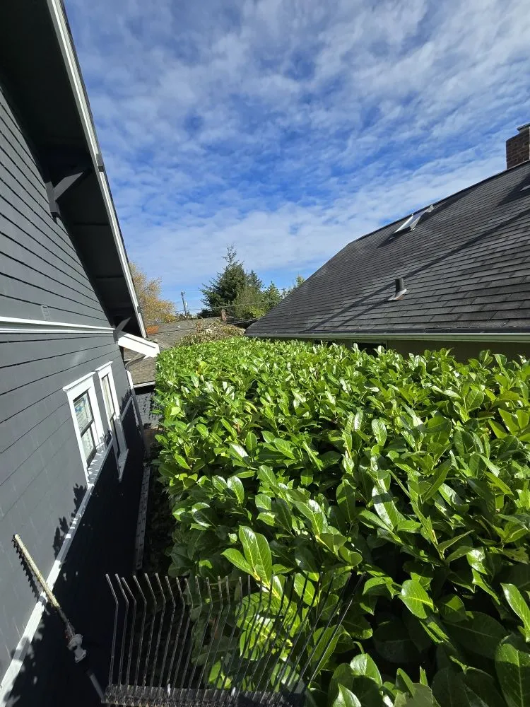 Reliable yard cleanup service experts serving Shelton, WA - TruPlants Landscape and Paver Services