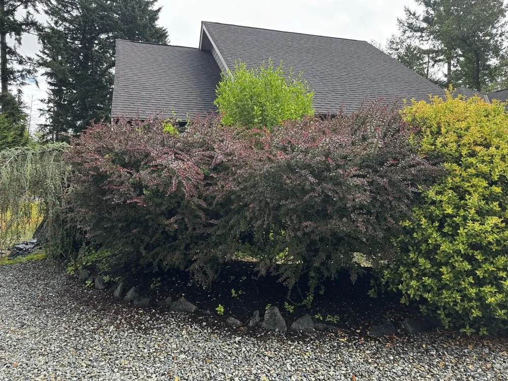 Local yard cleanup service in Shelton, WA - TruPlants Landscape and Paver Services