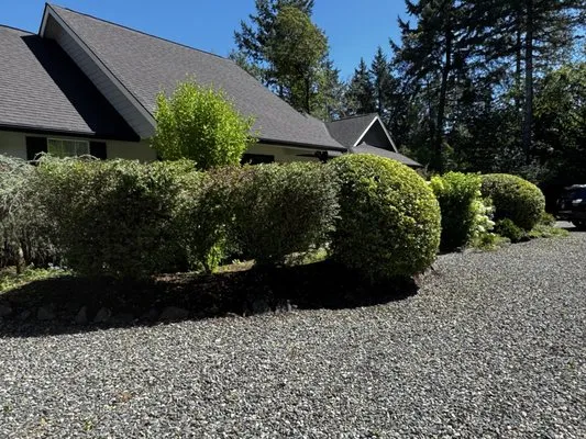 TruPlants Landscape and Paver Services