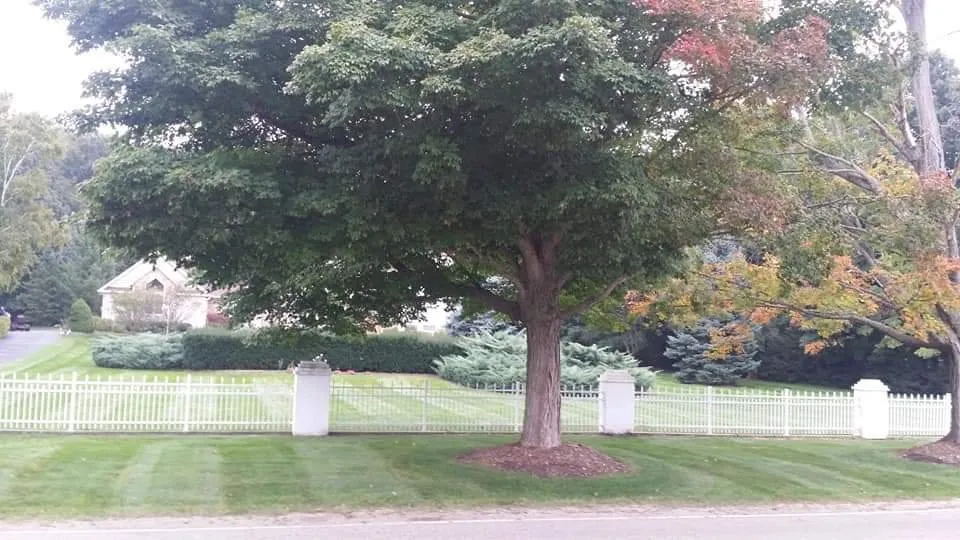 Local landscape installation experts serving Holland, MI - Trupride Lawn & Landscape