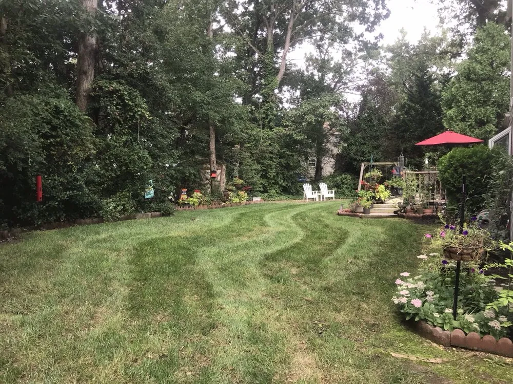 Affordable yard cleanup service experts serving Hughesville, MD - TruProperty Preservation