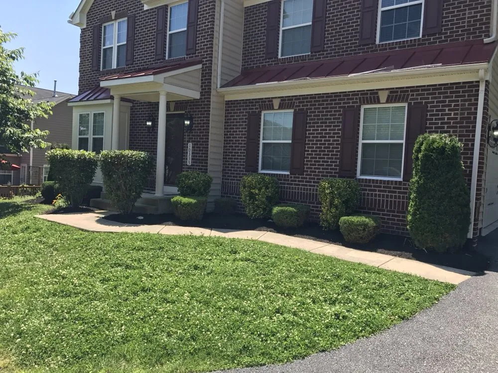 Expert yard cleanup service near you in Hughesville, MD by TruProperty Preservation