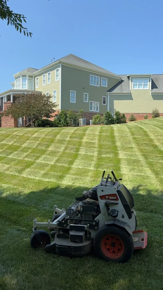 Custom yard cleanup service in Randleman, NC - TruRock Landscaping