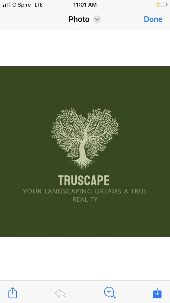Affordable residential landscaping for residential properties in Brookhaven, MS by Truscape