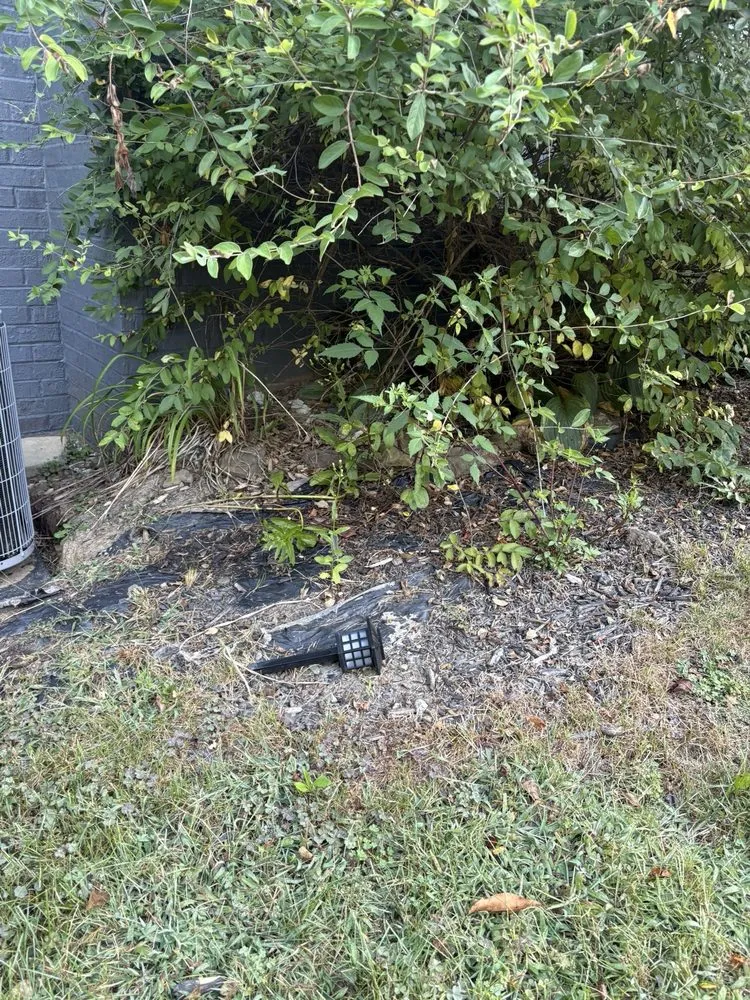 Top-rated landscaping services in Greensburg, PA - TruScape