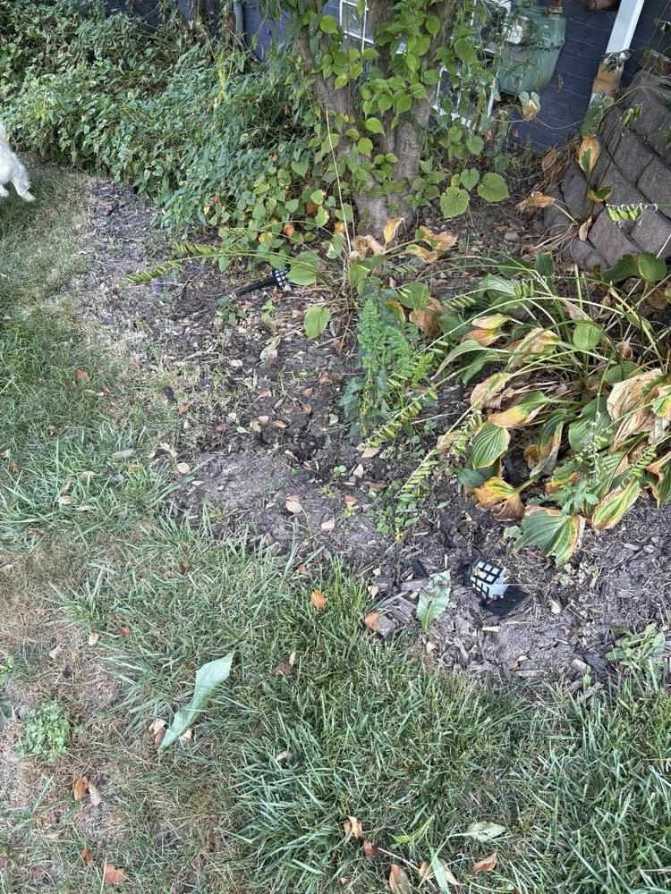 Top-rated lawn mowing service in Greensburg, PA by TruScape