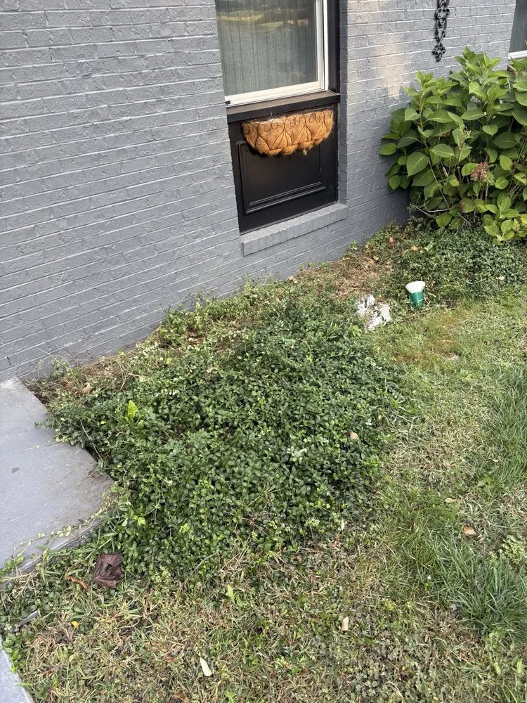 Professional landscaping services for residential properties in Greensburg, PA by TruScape