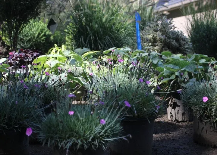 Custom residential landscaping in Greensburg, PA - TruScape