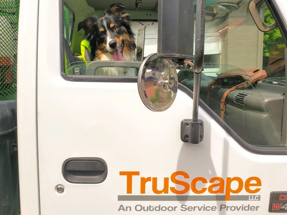 Custom outdoor landscaping for beautiful yards across Pleasant Unity, PA - TruScape
