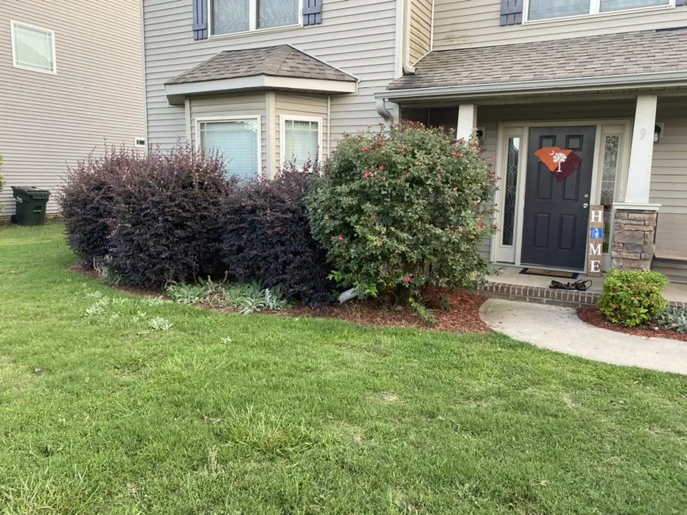 Expert landscape installation in Simpsonville, SC - TruScape