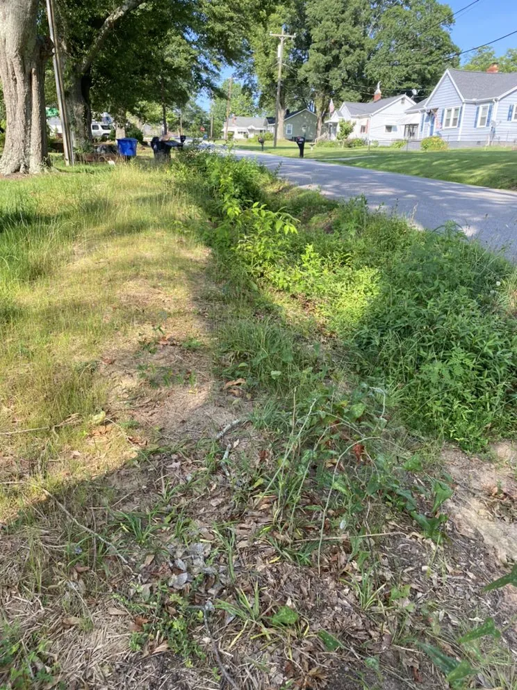 Reliable yard cleanup service with custom design across Simpsonville, SC - TruScape