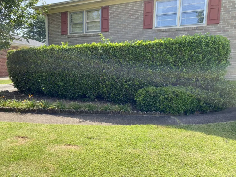 Reliable lawn care service in Simpsonville, SC - TruScape