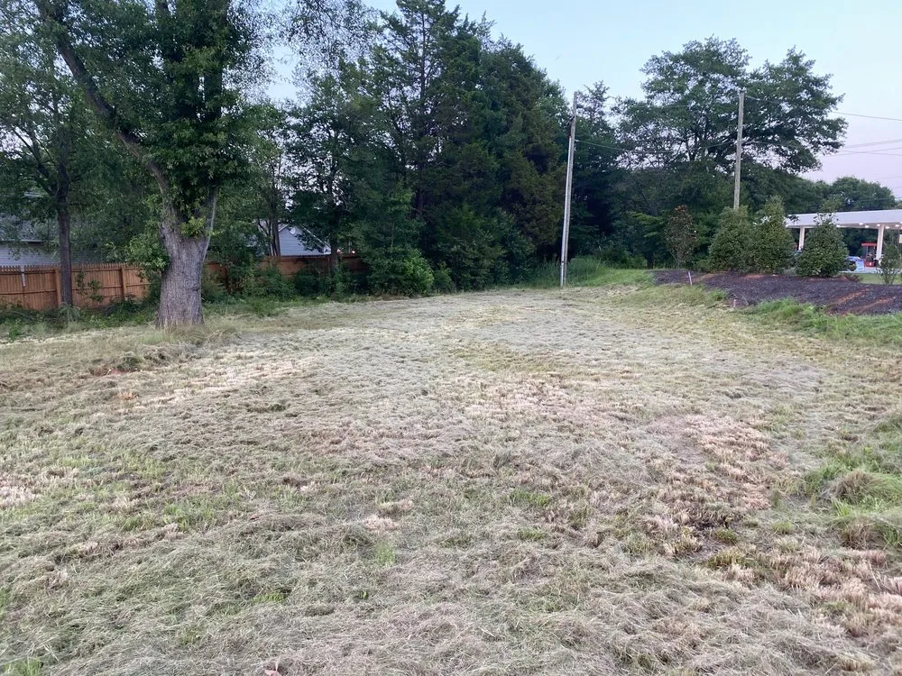 Top-rated yard cleanup service in Simpsonville, SC - TruScape